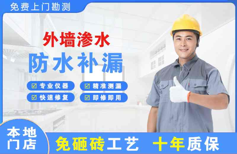 碑林外墙渗水维修